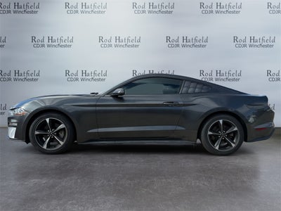 2019 Ford Mustang EcoBoost