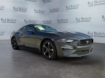 2019 Ford Mustang EcoBoost
